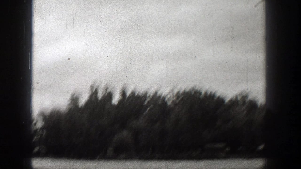 Blurred lake shoreline and water seen through dark 8mm frame edges.