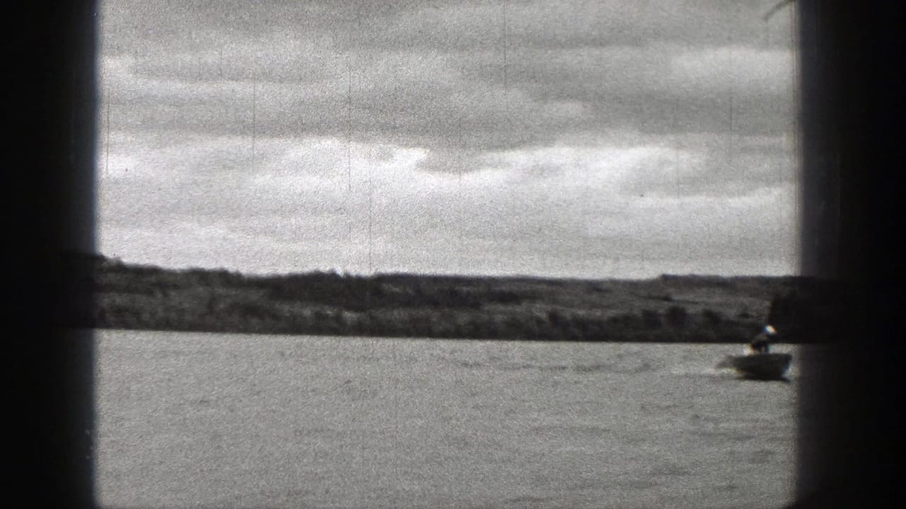 Open lake and low shoreline viewed through dark vertical and horizontal frame bars.