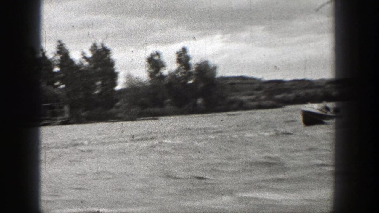 Motorboat near a wooded lakeshore with water filling the foreground.