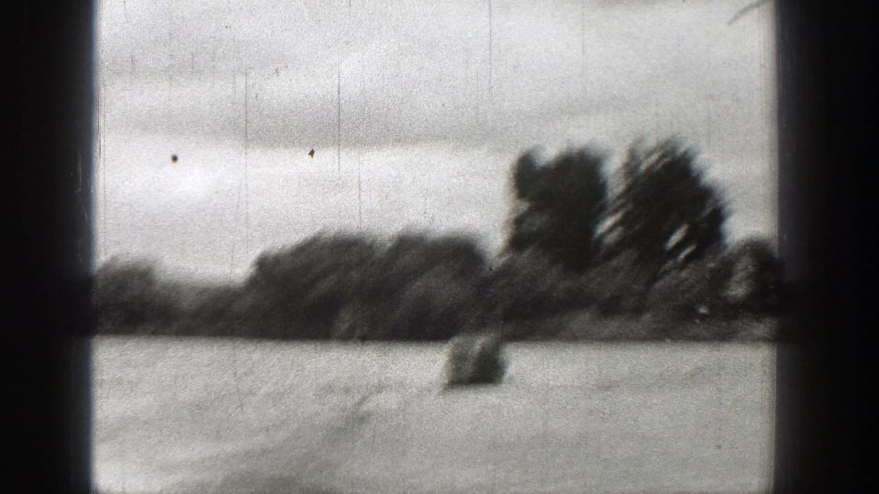Small indistinct object on water near a tree-lined shore with cloudy sky above.