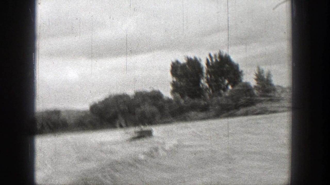 Choppy water and a distant tree-lined shore seen through dark film edges.
