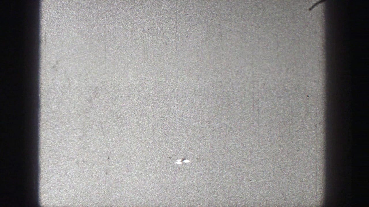 Small bird flying against a mostly blank sky.