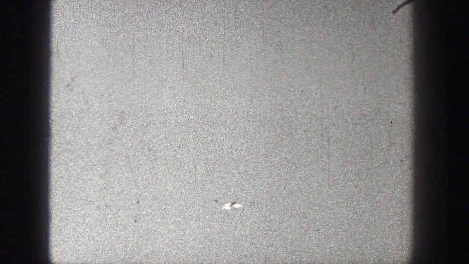 Washington 1938 frame with a small bird visible against a pale sky, surrounded by grain, dust, and dark 8mm frame edges.