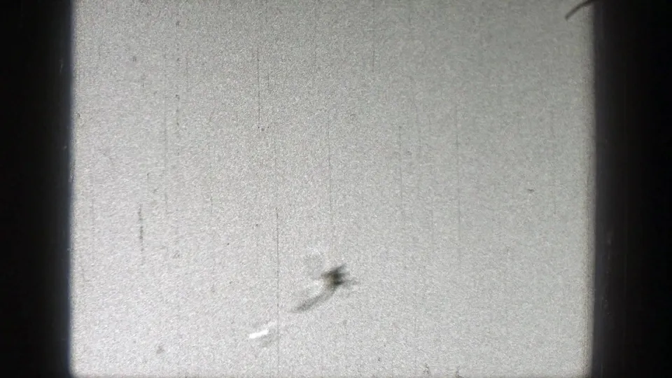 A blurred white model airplane is tracked low in the frame, with 8mm grain, dust, and exposure variation visible across the sky.