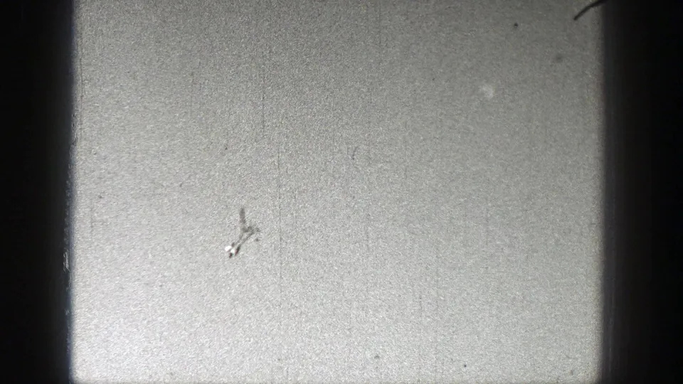 A small airplane appears as a dark silhouette in the bright sky in metadata-supported 1938 Washington 8mm footage.
