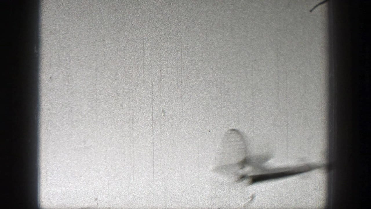 Small plane blurred near the right edge against a bright sky.