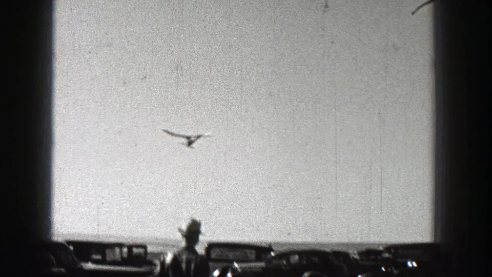 A small aircraft appears above parked cars and a foreground spectator in Washington 1938 home-movie footage.
