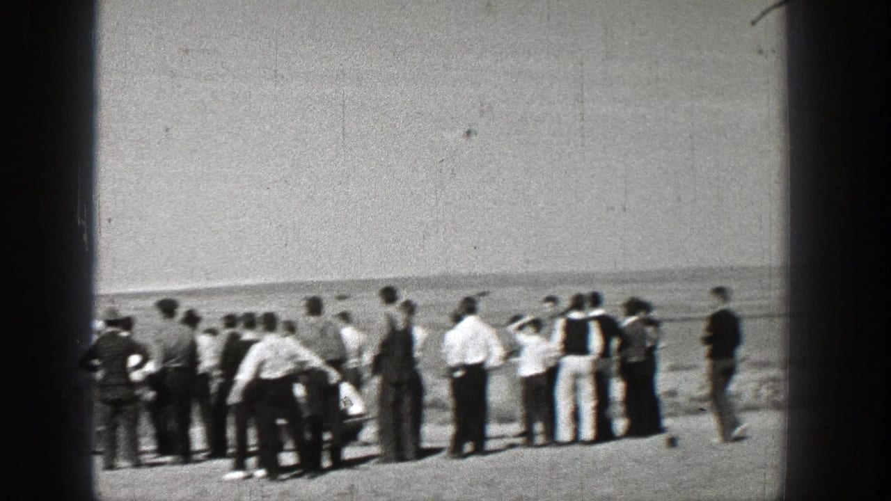 Crowd standing in an open field looking toward the sky and horizon.