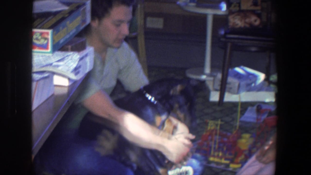 Young man in a green shirt pets a black and brown puppy on a living-room floor.