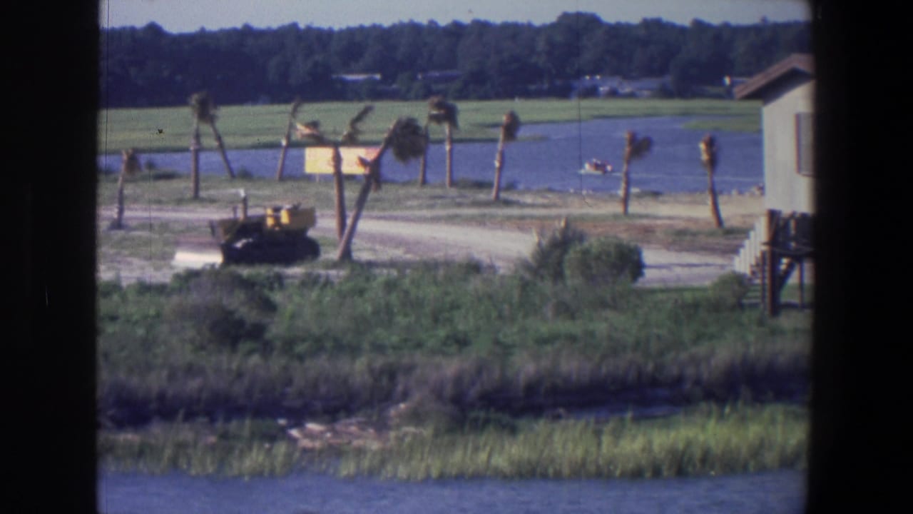 1971 Saint Paul home-movie frame showing a bulldozer near a marshy waterfront, palm trees along the water, and a distant small boat.