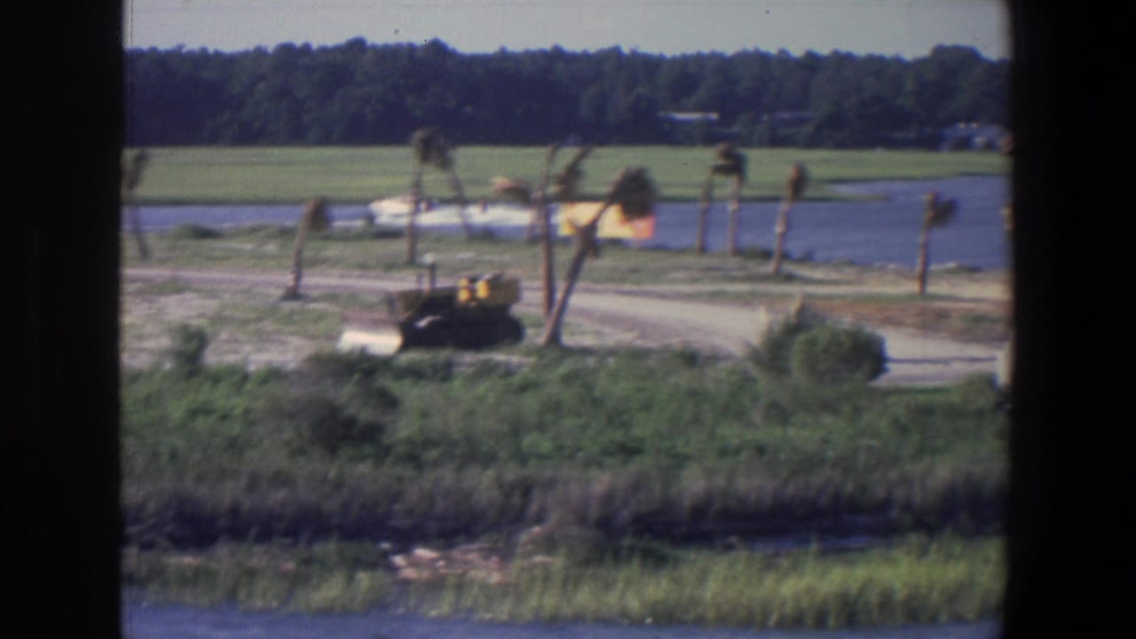 Distant white speedboat on a lake beyond grassy shoreline and sparse palm-like trees.