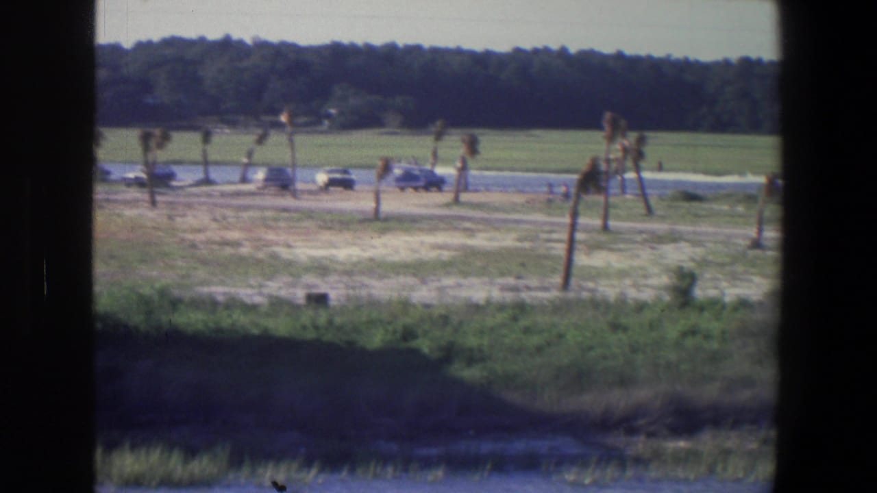 Grassy roadside park area with young trees, parked cars, distant treeline, and dark foreground frame.
