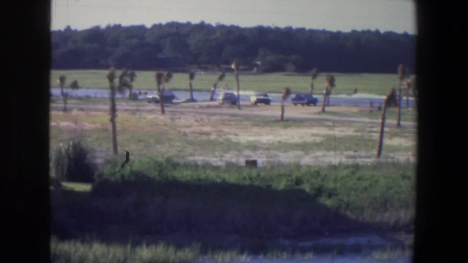 1971 Saint Paul metadata frame with parked cars beside an open green space, young trees, distant woods, and a window-like dark border.