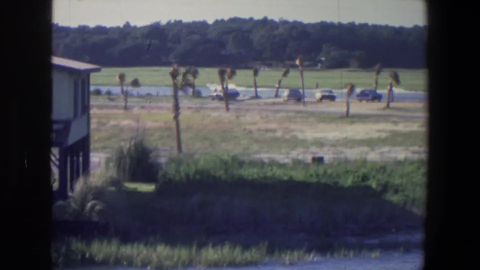 1971 Saint Paul metadata frame showing a partial building or window edge beside a grassy roadside area with young trees, parked cars, and woods.