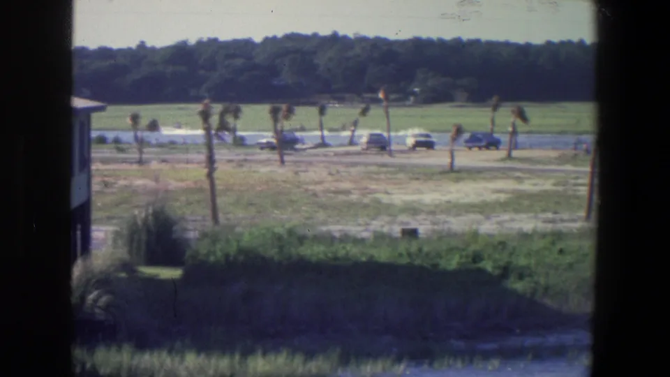 1971 Saint Paul metadata frame with shadowed foreground grass, a line of young trees, parked cars on a road, and a wooded background.