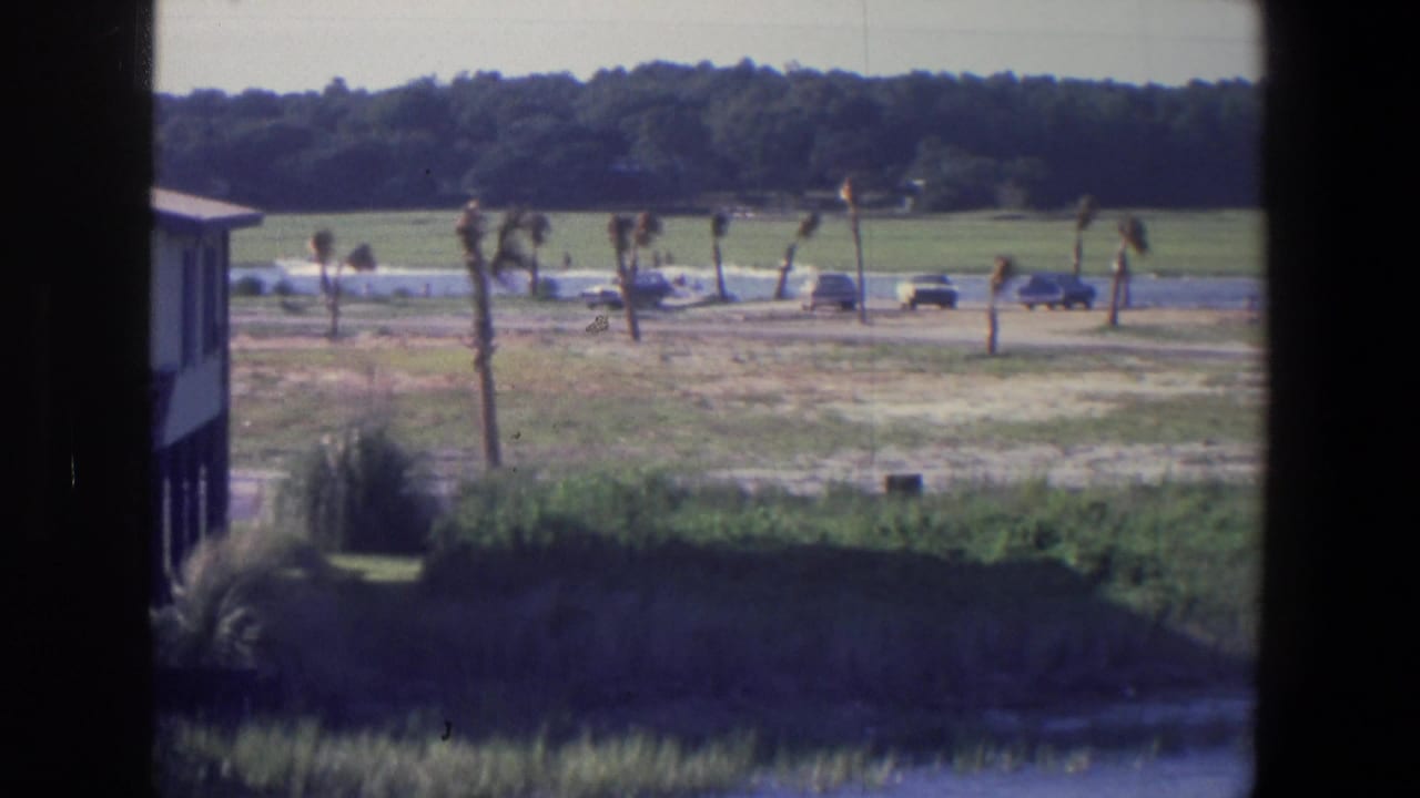 Light-colored structure by a grassy riverbank with parked cars and palm-like trees in the distance.