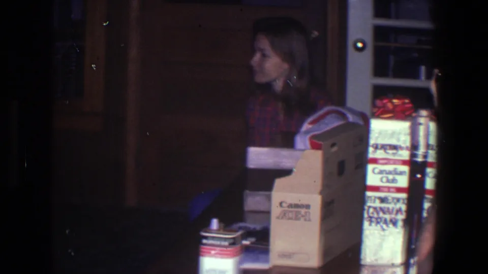 Profile view of the woman in a red plaid shirt near Canon and Canadian Club boxes inside the stated Saint Paul home setting.