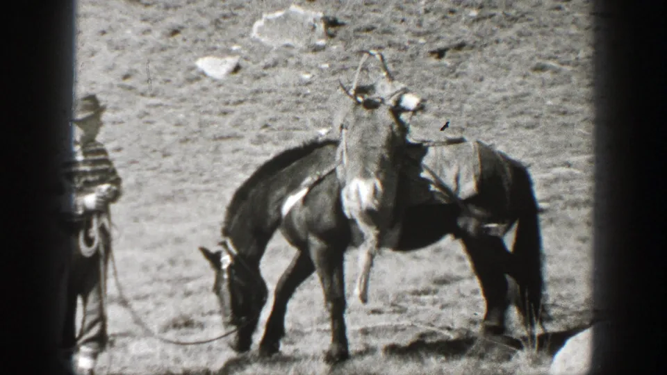 A horse in a California mountain setting carries a large antlered animal, likely hunted game, while a man stands nearby.