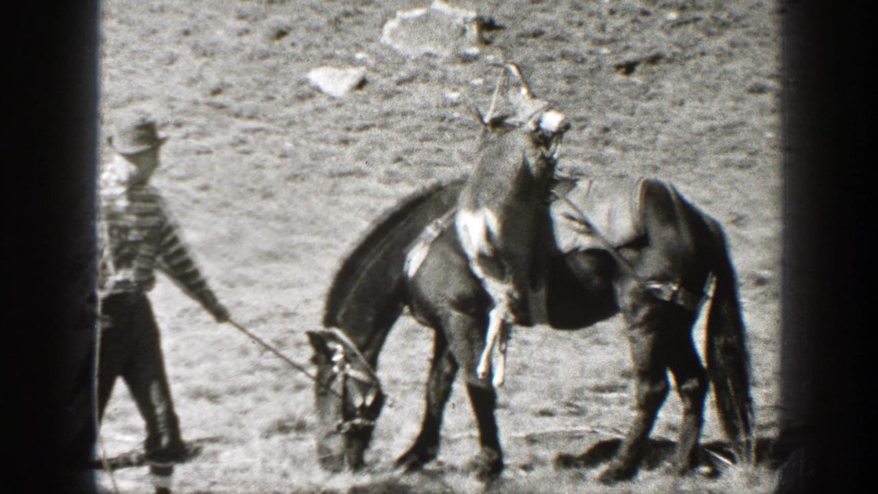 Man in striped shirt leads a saddled horse carrying a deer carcass across dry ground.