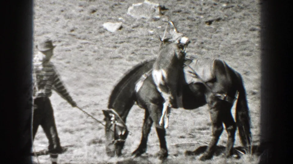 In California home-movie footage from 1938, a man leads a pack horse with a deer carcass visible on its load across a dry landscape.