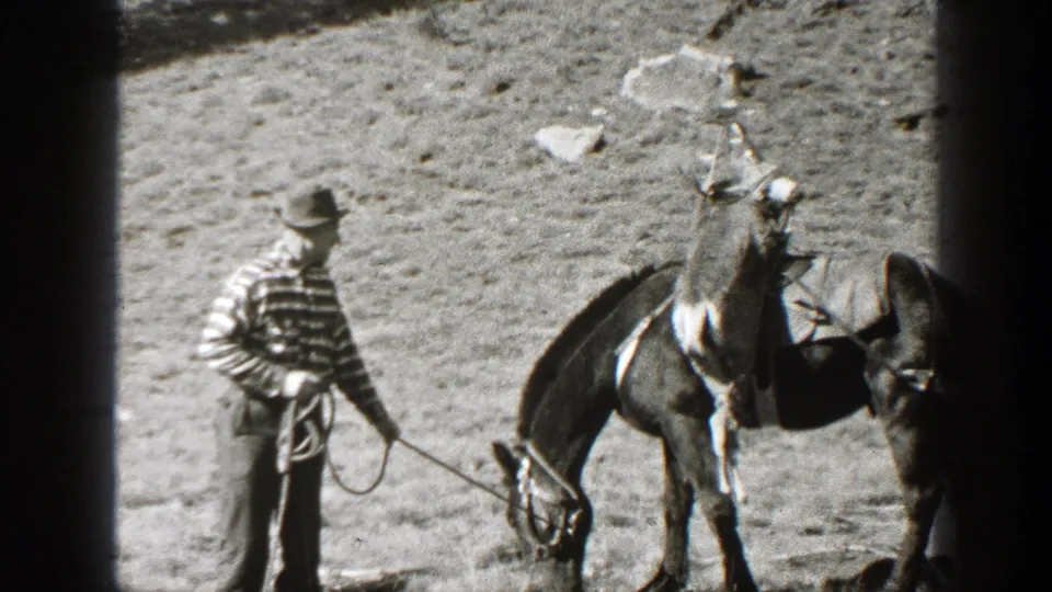 The man pauses with the lead rope as the saddled horse lowers its head to graze in the 1938 California landscape.