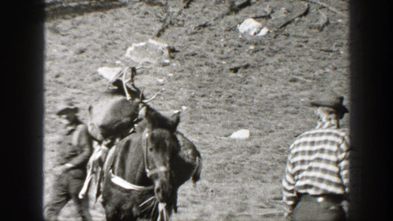 1938 California home-movie frame showing men in hats near a pack horse loaded with large bundles in an open clearing.