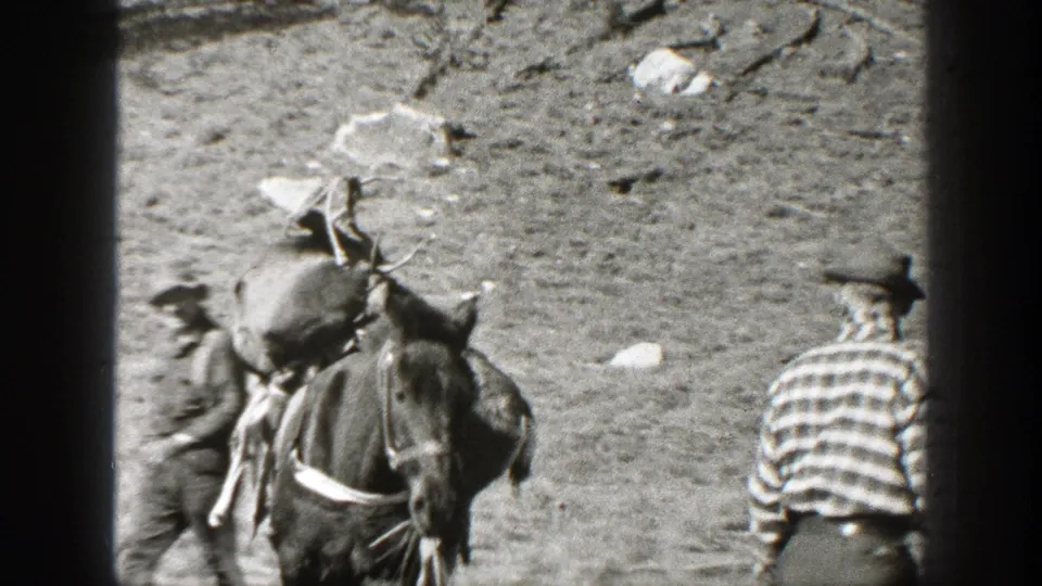 1938 California home-movie frame showing men in hats near a pack horse loaded with large bundles in an open clearing.