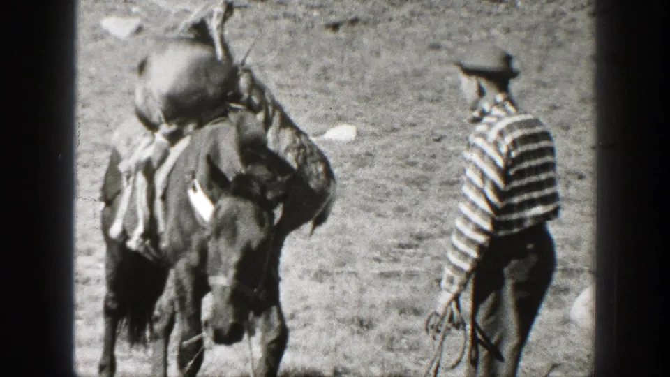 A pack horse with bulky supplies stands in a clearing while a man in a striped shirt and brimmed hat handles rope nearby.