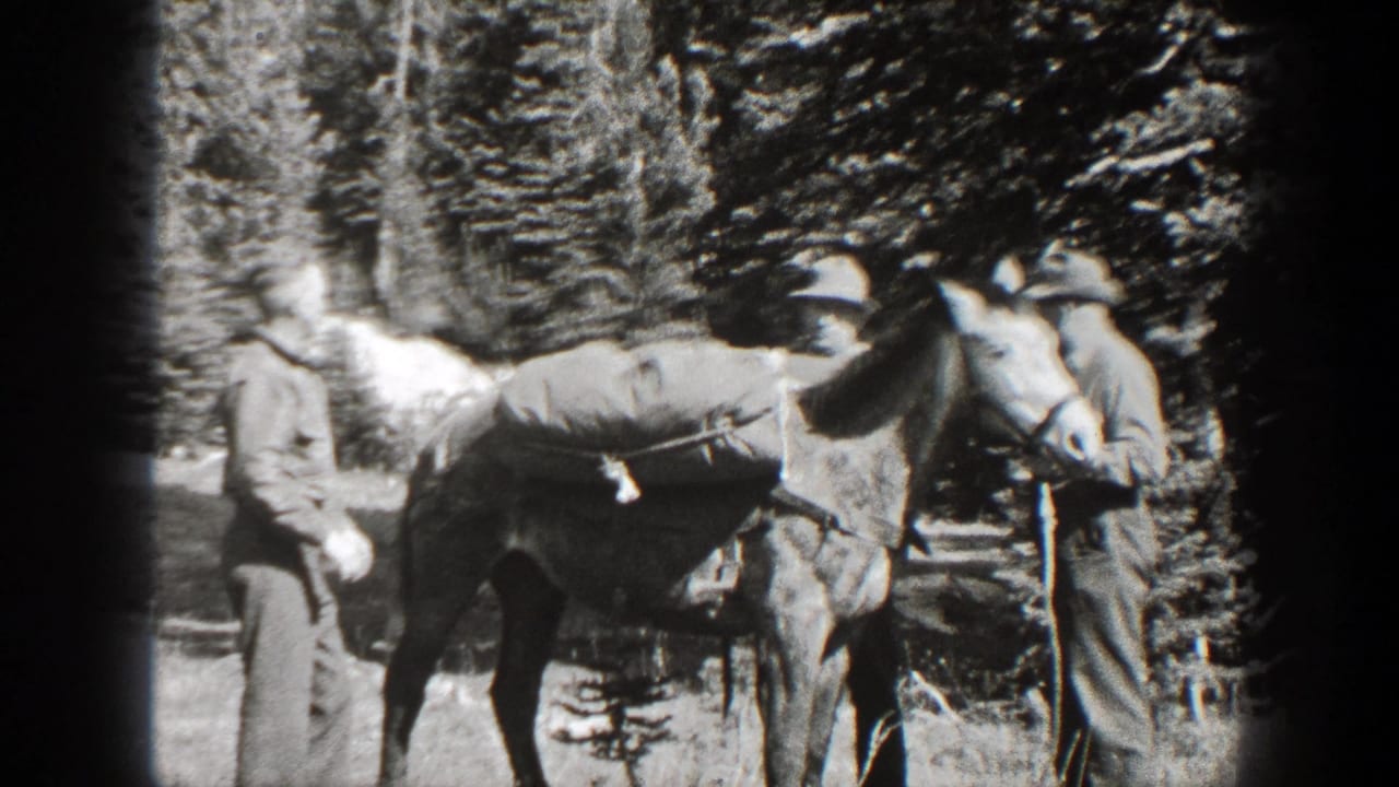 Two men stand beside a loaded horse in a forest clearing.