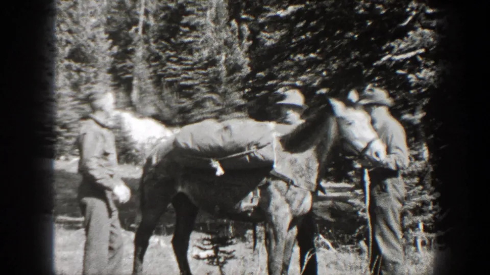 In 1938 California home-movie footage, two men in hats stand by a pack horse with saddlebags in a wooded clearing.