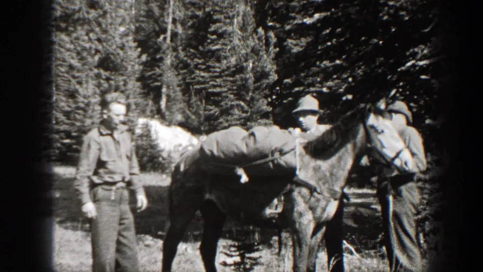 A man in a hat holds the reins of a loaded pack horse while another adult stands near the forest edge.