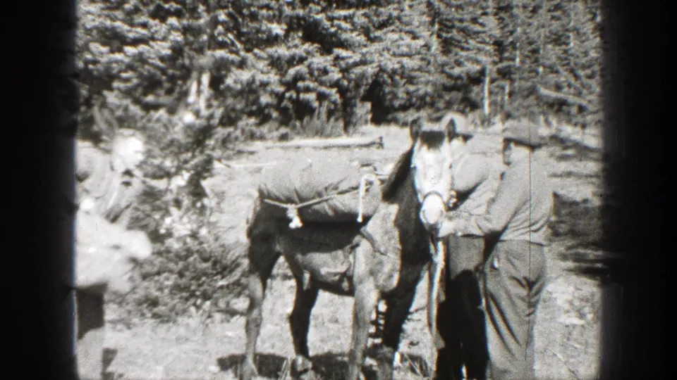 Two men remain beside the loaded pack horse in a California forest clearing, with another person partly visible at left.