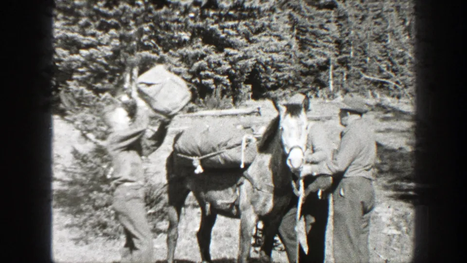 A person lifts a bundle toward the pack horse while two men stand near the animal in the wooded clearing.