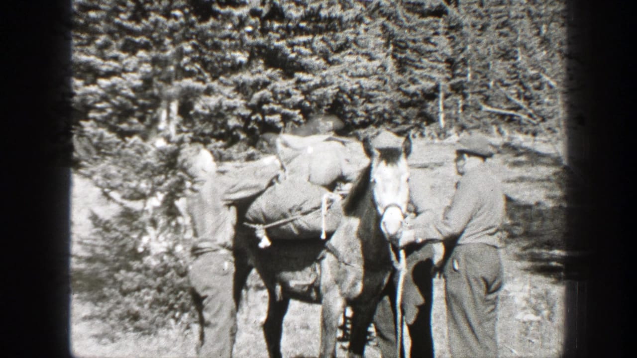 In 1938 California home-movie footage, two men appear to adjust gear on a horse near trees and brush.