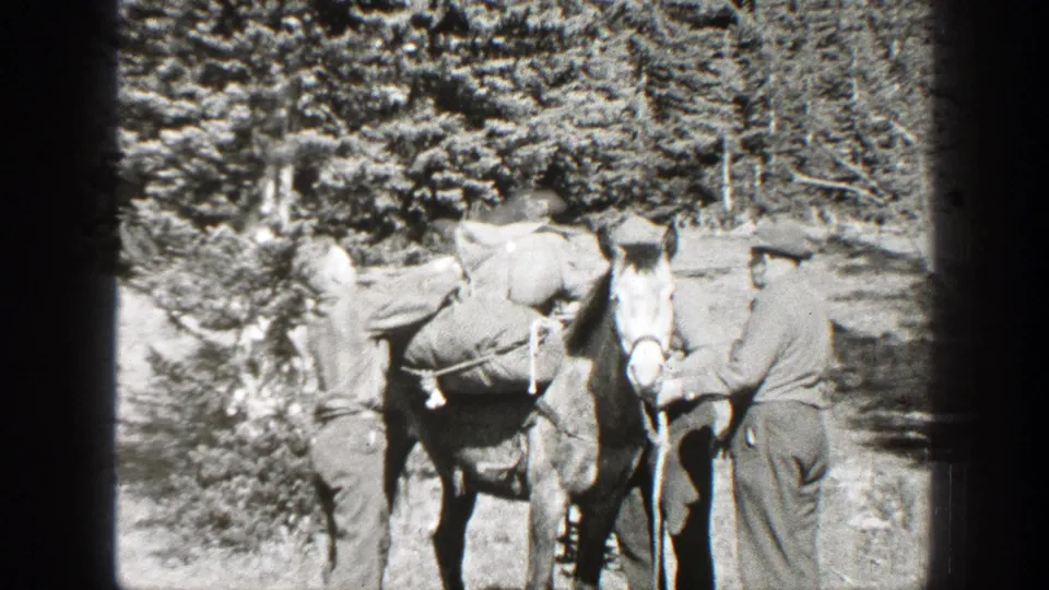 In 1938 California home-movie footage, two men appear to adjust gear on a horse near trees and brush.