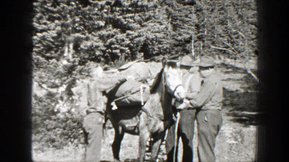 Two adult men in outdoor clothing handle a horse with supplies in a forested California setting.