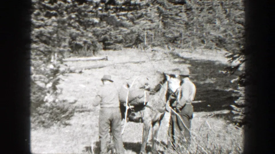 A rear view shows one man facing the horse while another holds gear near a wooded streambank.