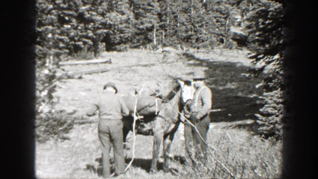 Two adult men in period outdoor clothing prepare a horse with supplies in a California forest clearing, 1938 home-movie footage.