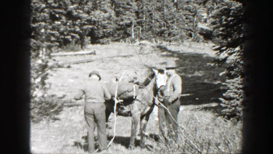 Two adult men in period outdoor clothing prepare a horse with supplies in a California forest clearing, 1938 home-movie footage.