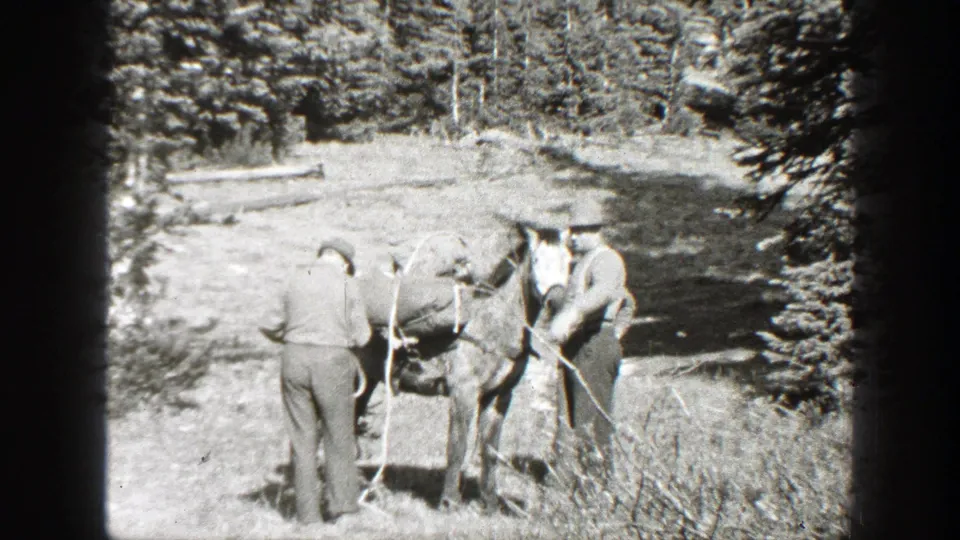 In the wooded California clearing, two men continue securing supplies and reins on a horse during a 1938 home-movie scene.