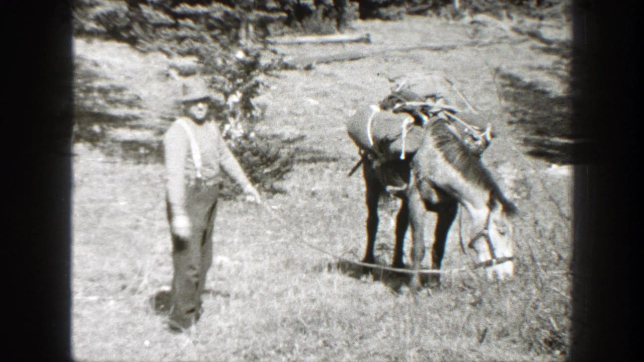 1938 California 8mm frame showing a man in hat and suspenders near a loaded pack mule in a mountain clearing.