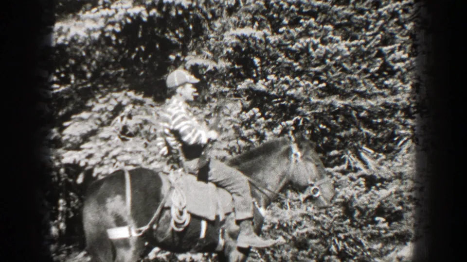 Adult rider on horseback continues through dense California forest in this grainy 1938 8mm home-movie frame.