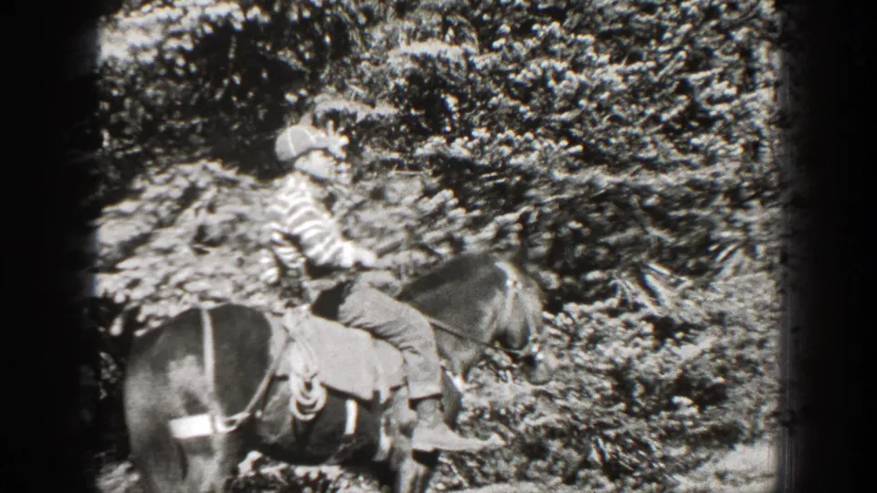 1938 California 8mm frame showing a side view of an adult man on horseback near dense forest brush.