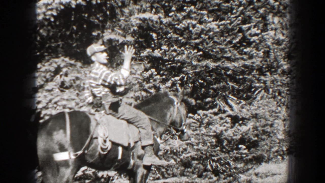 Man in cap on horseback raises a rifle beside dense forest brush.