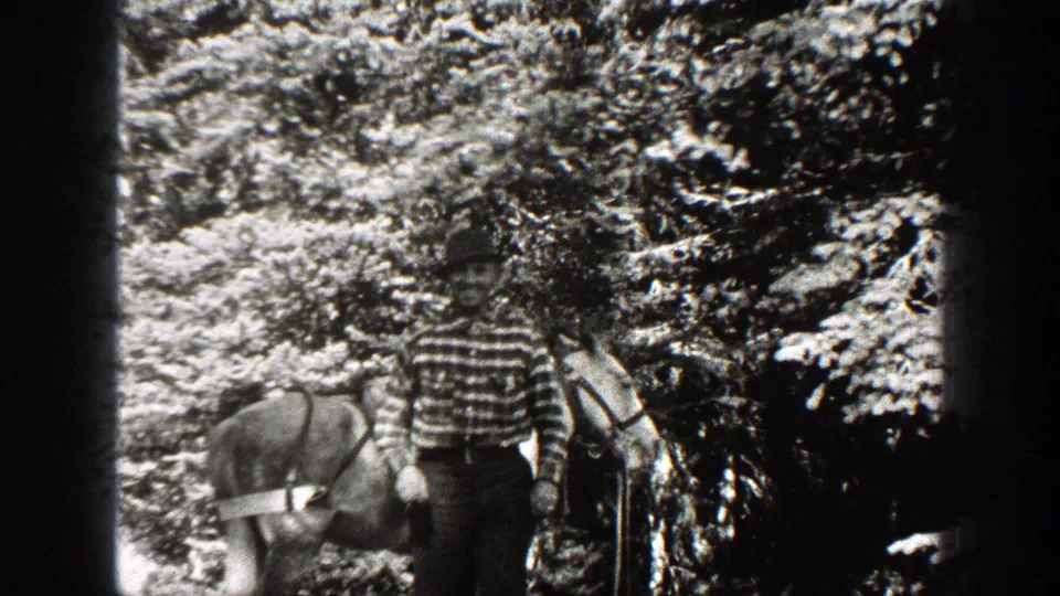A man in a striped shirt stands near a saddled horse under thick trees in 1938 California home-movie footage.