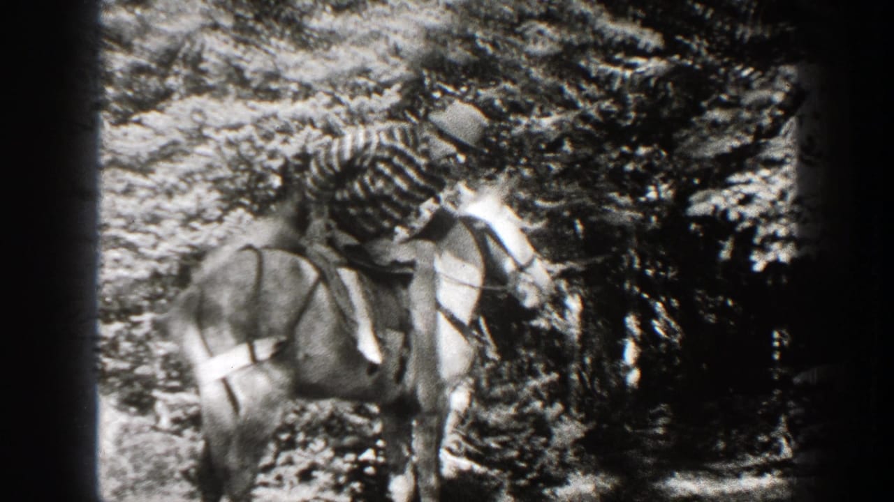 Man in a hat climbs onto a saddled horse among trees.