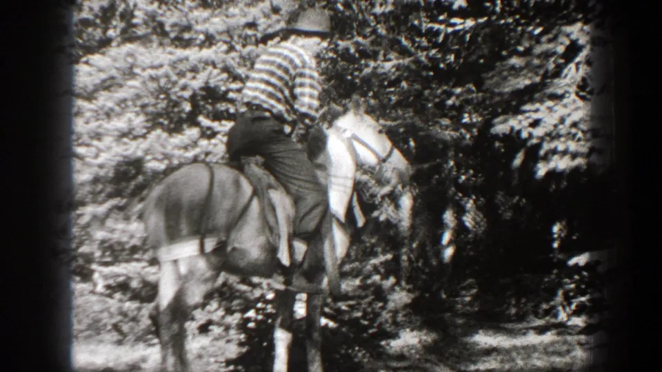 The man settles onto the saddled horse in the wooded California setting, with the horse standing side-on to the camera.
