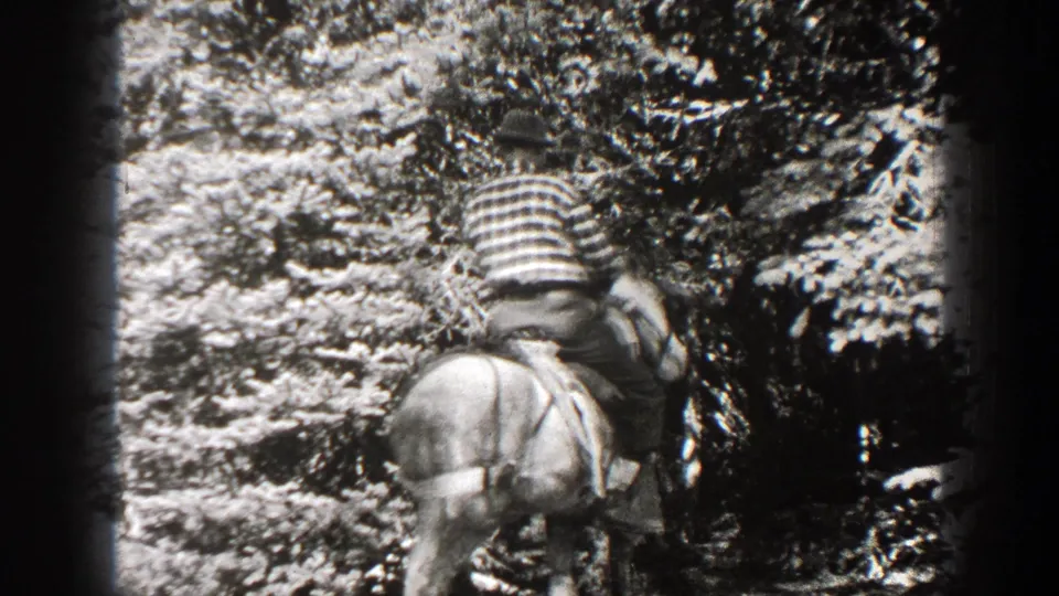 The rider is now seated on the horse, turned partly away, with trees and brush filling the background.
