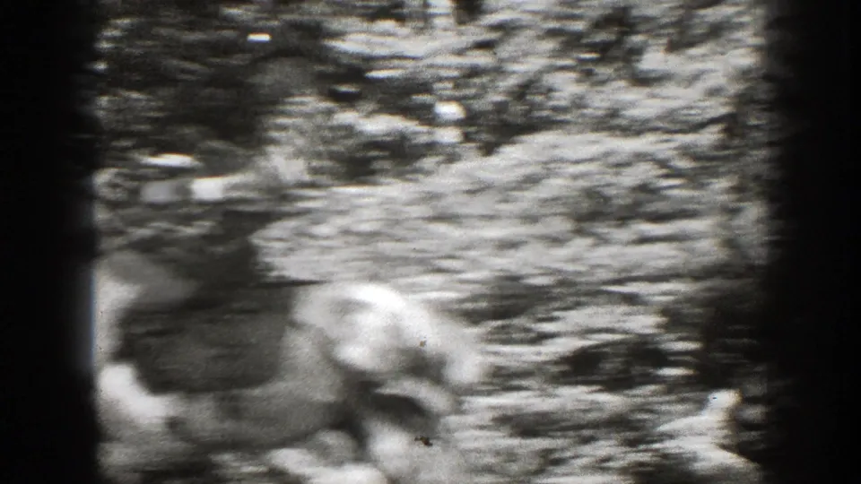 The final frame is motion-blurred as the horse and rider shift within the wooded 8mm scene.