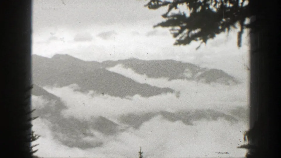 Black-and-white 8mm frame of misty California mountain ridges, with tree branches at the top edge.